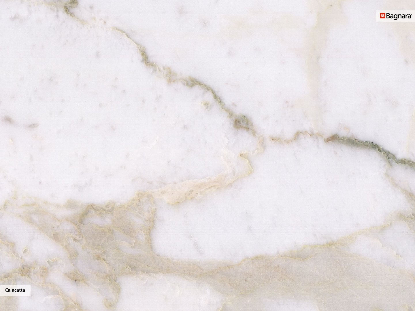 calacatta marmors